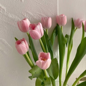 Meet your Posher, Pilar